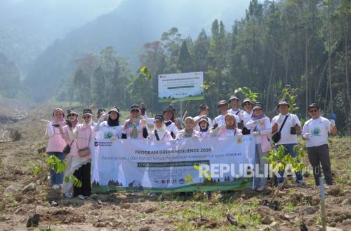 PLN UID West Java Plants 1,000 Trees in Pasirlangu to Strengthen Post-Landslide Environmental Resilience