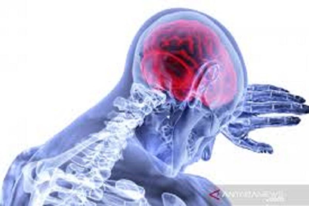 Genetic History and Lifestyle Identified as Stroke Risk Factors