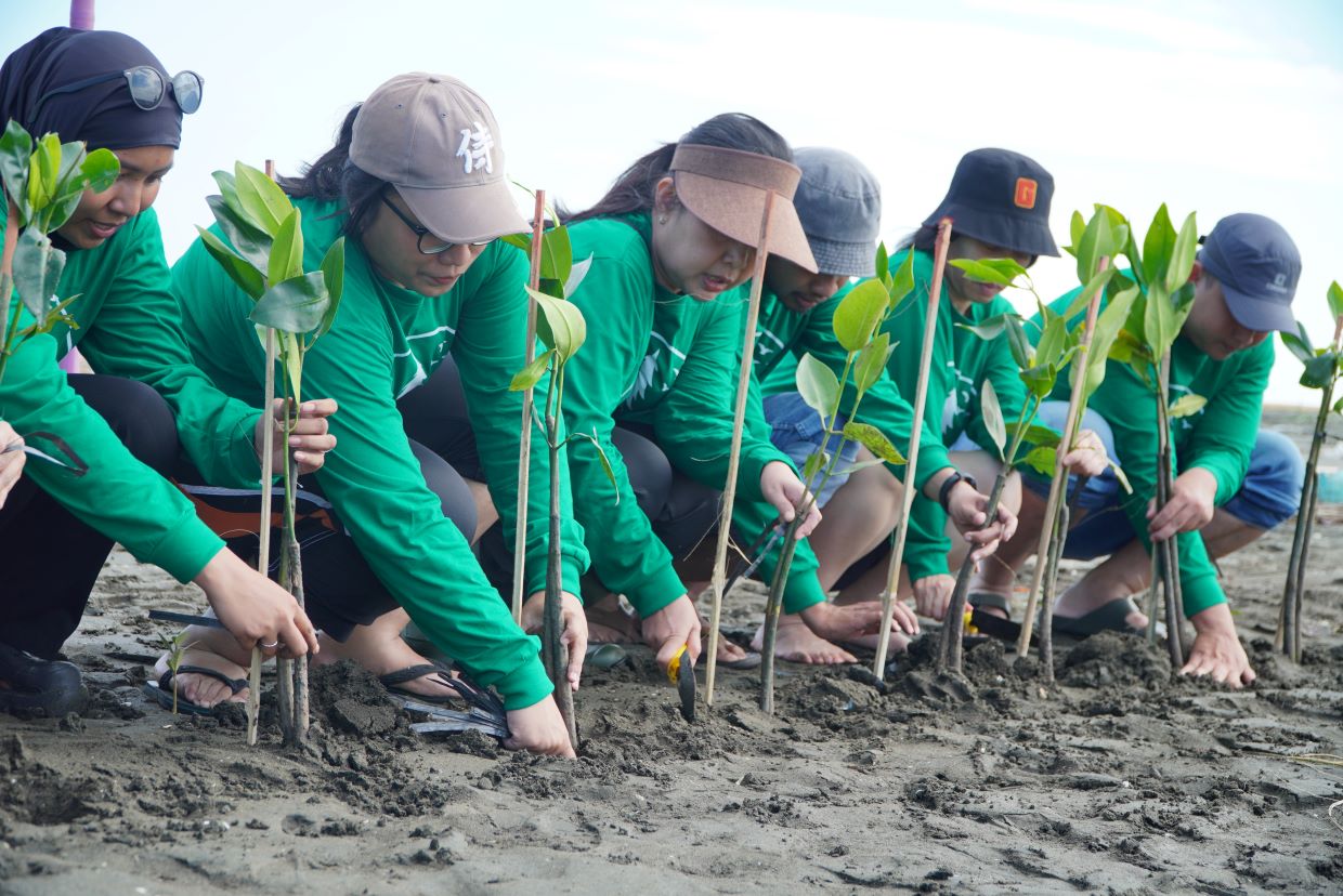 2,500 Mangrove Seedlings Planted to Mark World Environment Day