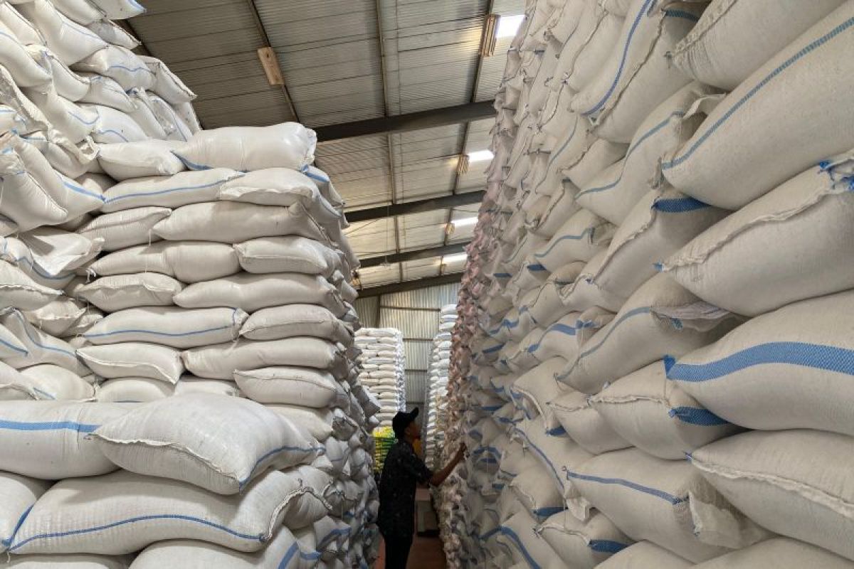 Do not be lulled by records, rice production must be continuously safeguarded