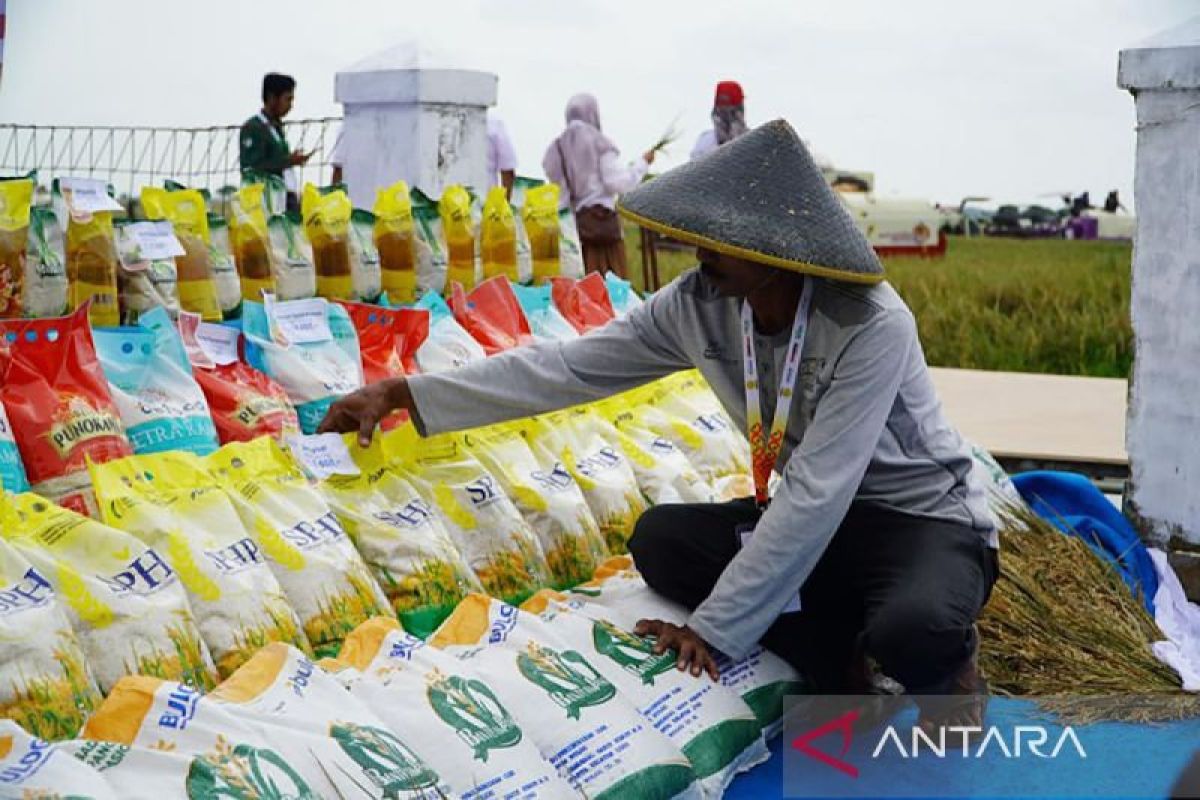 Bapanas: 7.7 million tonnes of government rice reserves distributed to public during 2023-2025