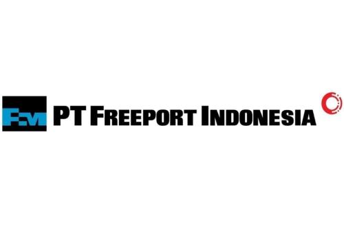 Additional 12 Percent Freeport Share Divestment Still Under Government Review