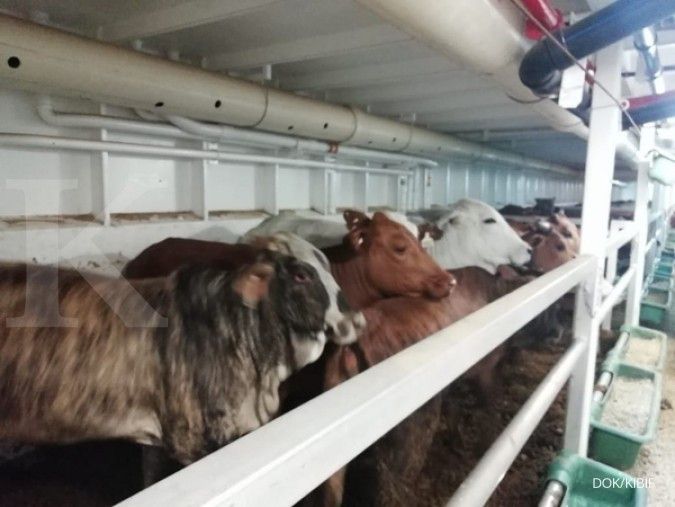 Reviewing Estika Tata Tiara (BEEF) Stock Recommendation Amid Business Transformation