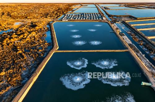 Impossible but True: China's Taklimakan Desert Now a Premium Seafood Industry
