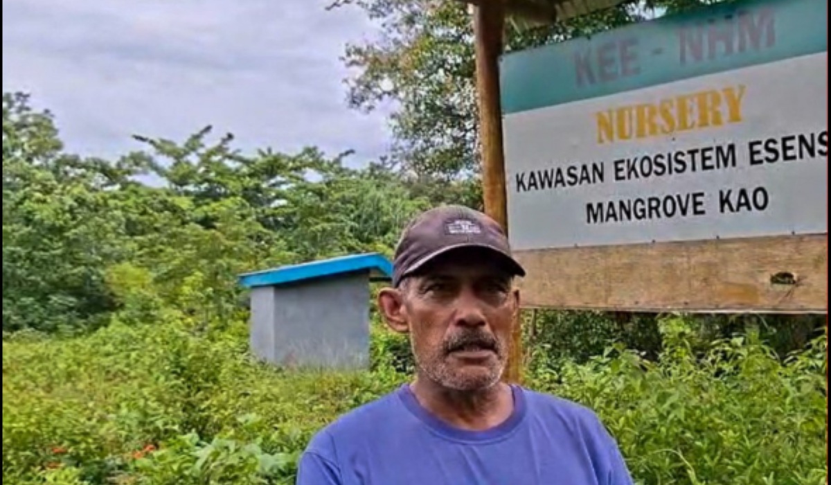 Three Years of NHM Mangrove Programme in Kao Shows Tangible Results for Coastal Ecosystem Restoration