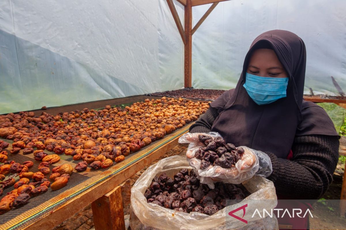 UNAND Studies Integration of Minangkabau Local Wisdom with Climate-Smart Agriculture