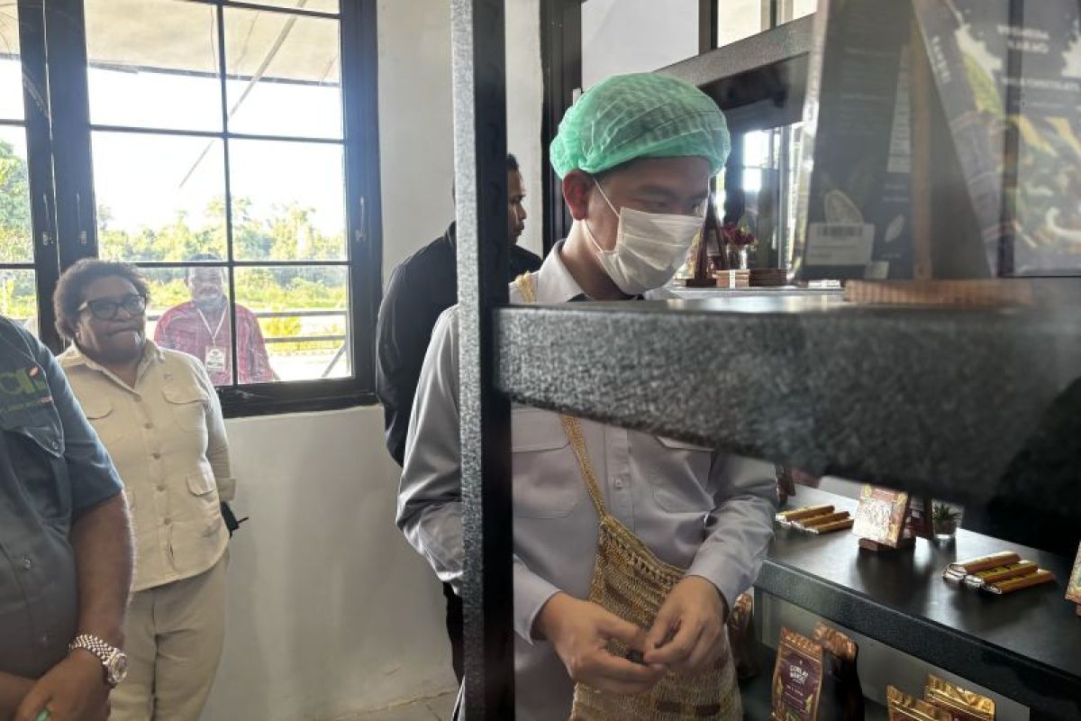 Vice President visits cocoa production centre in South Manokwari