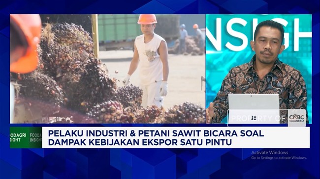 Video: Palm Oil Farmers and Entrepreneurs Voice Concerns Over Single-Door Export Policy