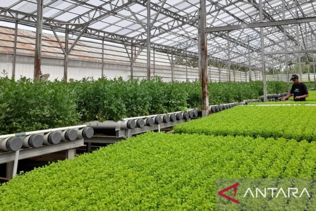 Banten accelerates farmer regeneration by promoting modern agriculture