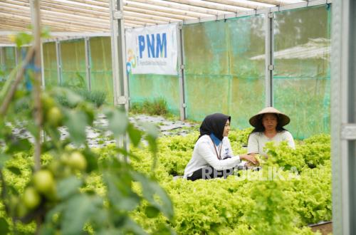PNM Wins Four Indonesia Sustainability Awards for ESG Commitment and Empowerment