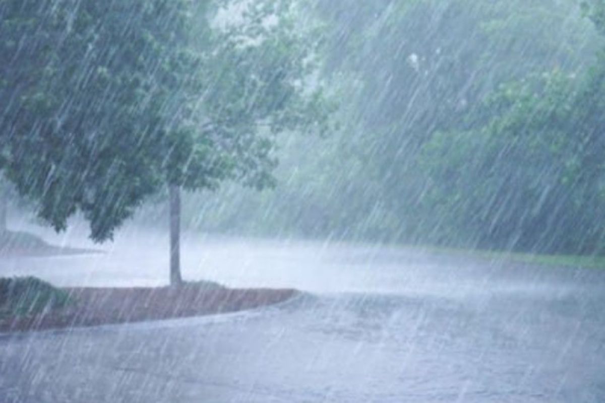 Extreme Weather on Morotai Island Claims One Life, BNPB Reports