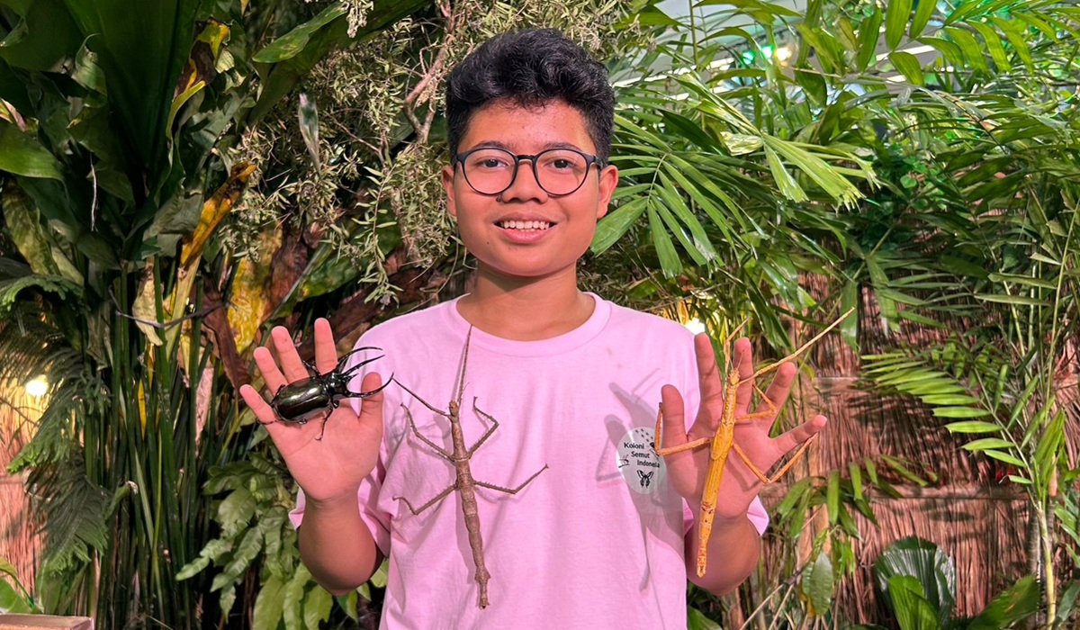 Meet Nadhif, the Young Entomologist Who Founded the Indonesian Ant Colony