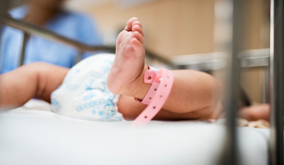 Beware of Kidney Disorder Risks in Premature and Low Birth Weight Infants