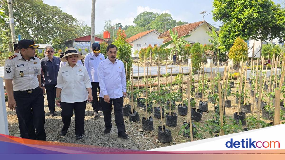 Titiek Soeharto Praises Minister Agus: 'If the Cabinet Were Filled with People Like Him, the President Could Sleep Soundly'