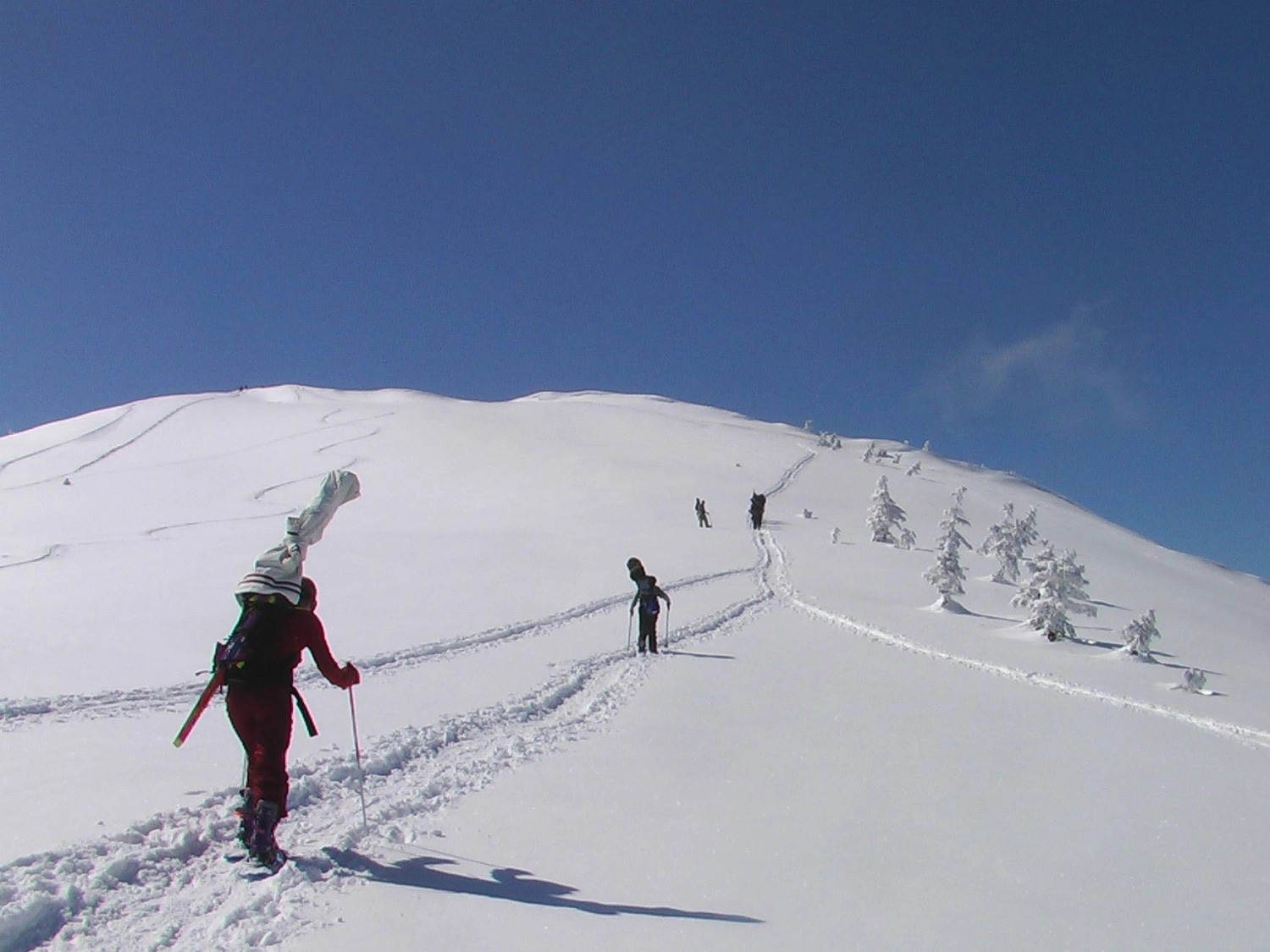 Japan to Raise Visa Fees Fivefold from 2026, First Adjustment in 48 Years