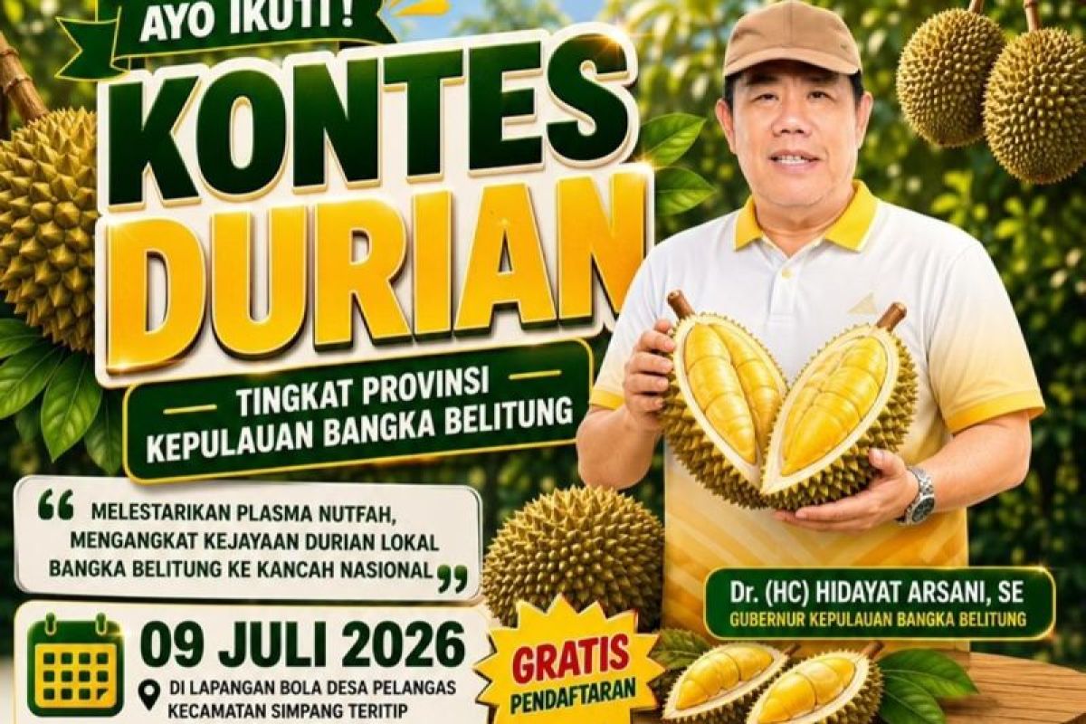 Bangka Belitung to hold local durian contest to boost national recognition