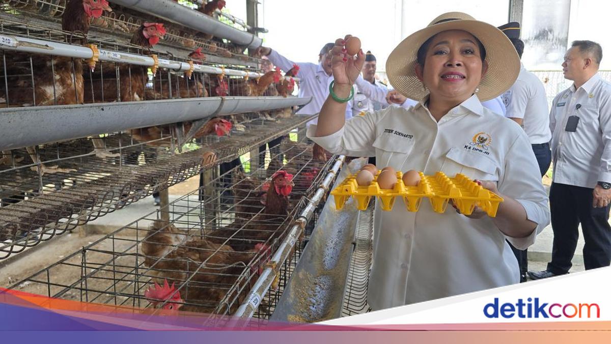 Titiek Soeharto Says Nusakambangan Food Security Programme Is a 'Whip' for Other Ministries