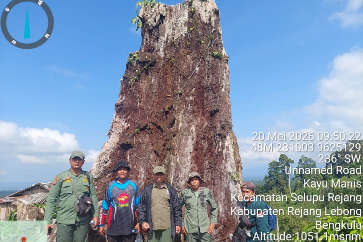 Forest damage in TNKS Section VI Bengkulu reaches 10,000 hectares