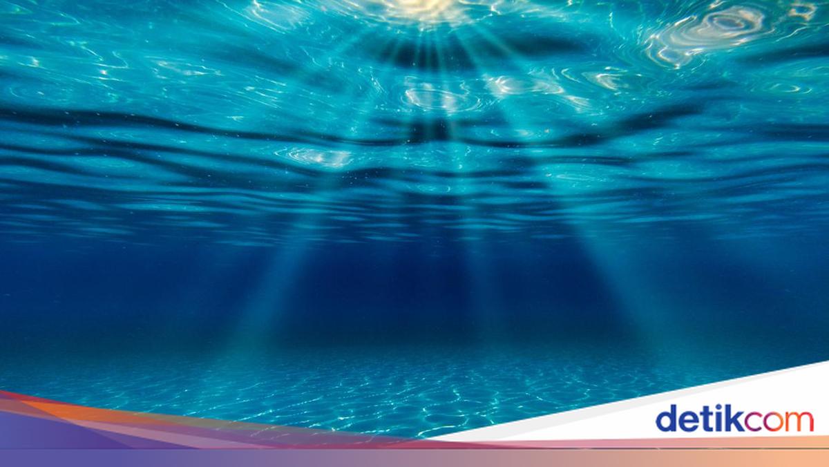 China Claims Foreign Intelligence Using Marine Animals to Spy on Its Waters