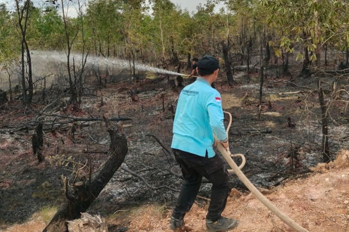 Joint Task Force Tackles 5.3-Hectare Land Fire in Banjar