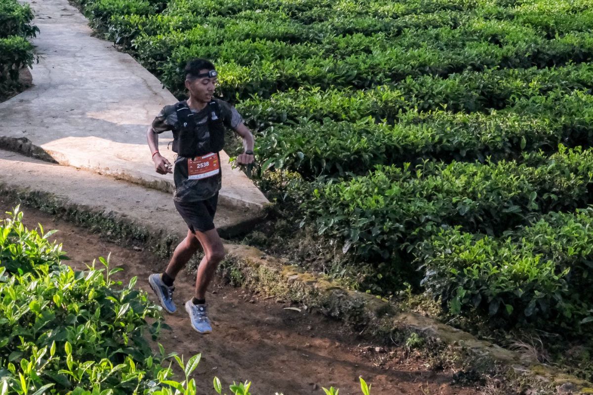 Dieng Caldera Race serves as a platform to promote sports tourism in Wonosobo