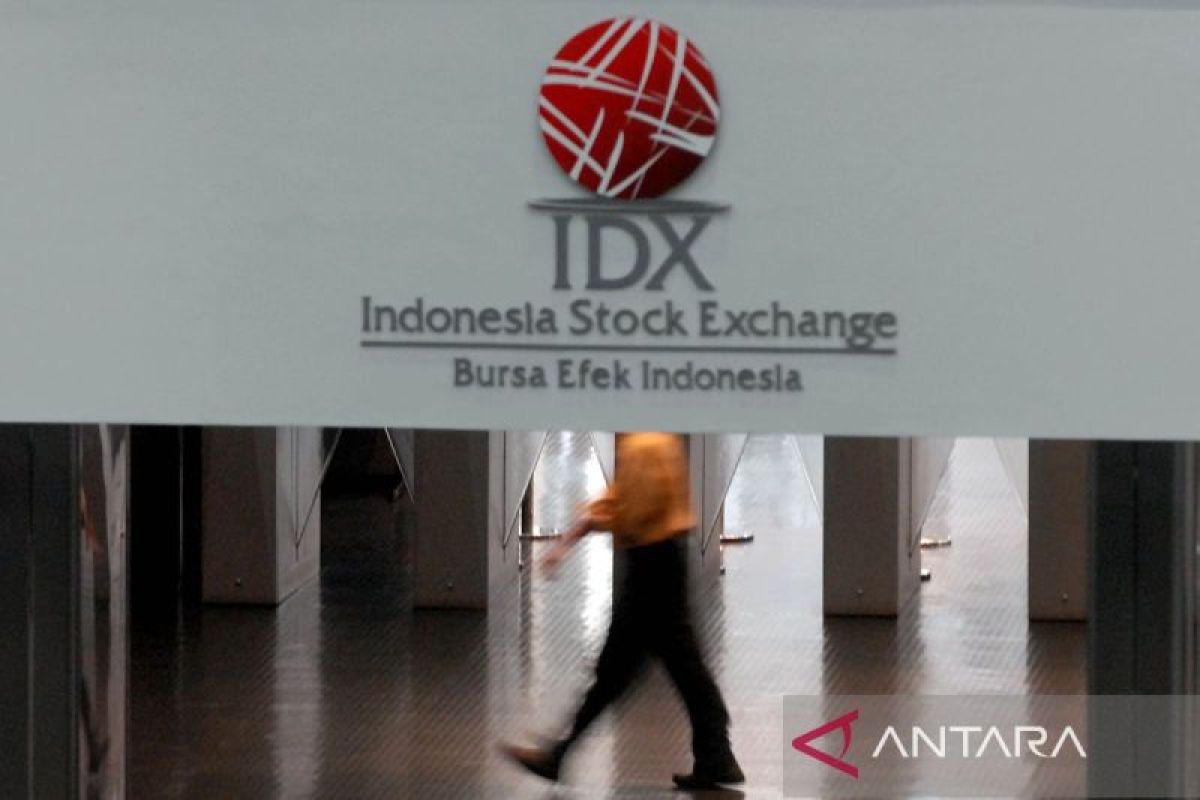 Finance Ministry, BI, and Danantara May Become IDX Shareholders