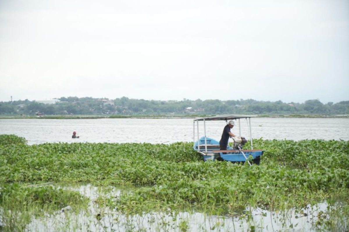 Pertamina empowers communities to manage water hyacinth in South Sumatra and Central Java