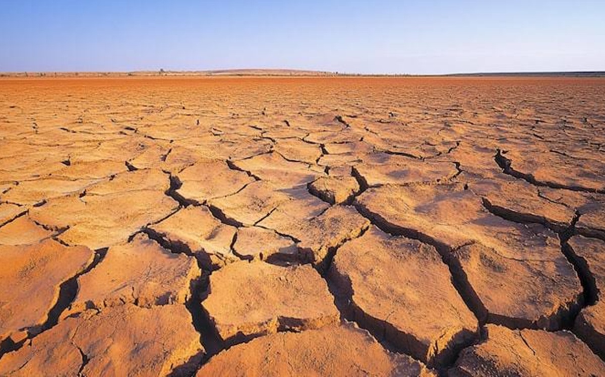 El Nino Godzilla: UGM Expert Warns of Harvest Failure and Water Crisis Risks