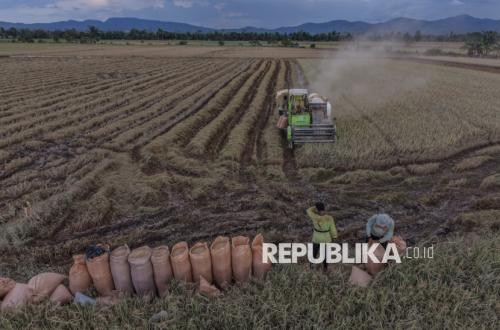 When Will Middlemen Love Farmers?