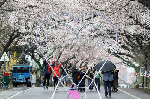 Beyond Seoul: 4 South Korean Regions Emerging as New Favourites for Indonesian Tourists