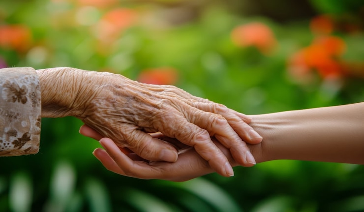 Beyond Age: Key Triggers of Memory Decline in the Elderly