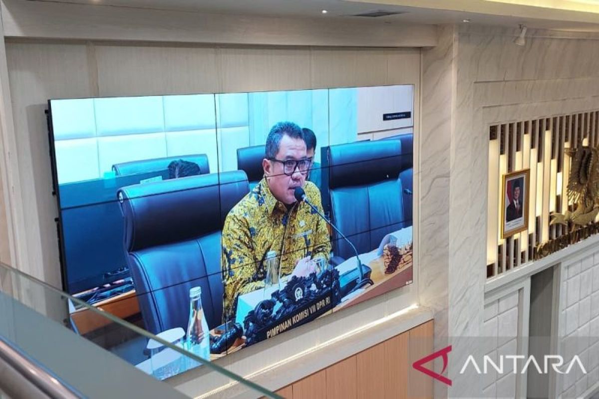 Internet users can expand Indonesian film market: House Commission VII