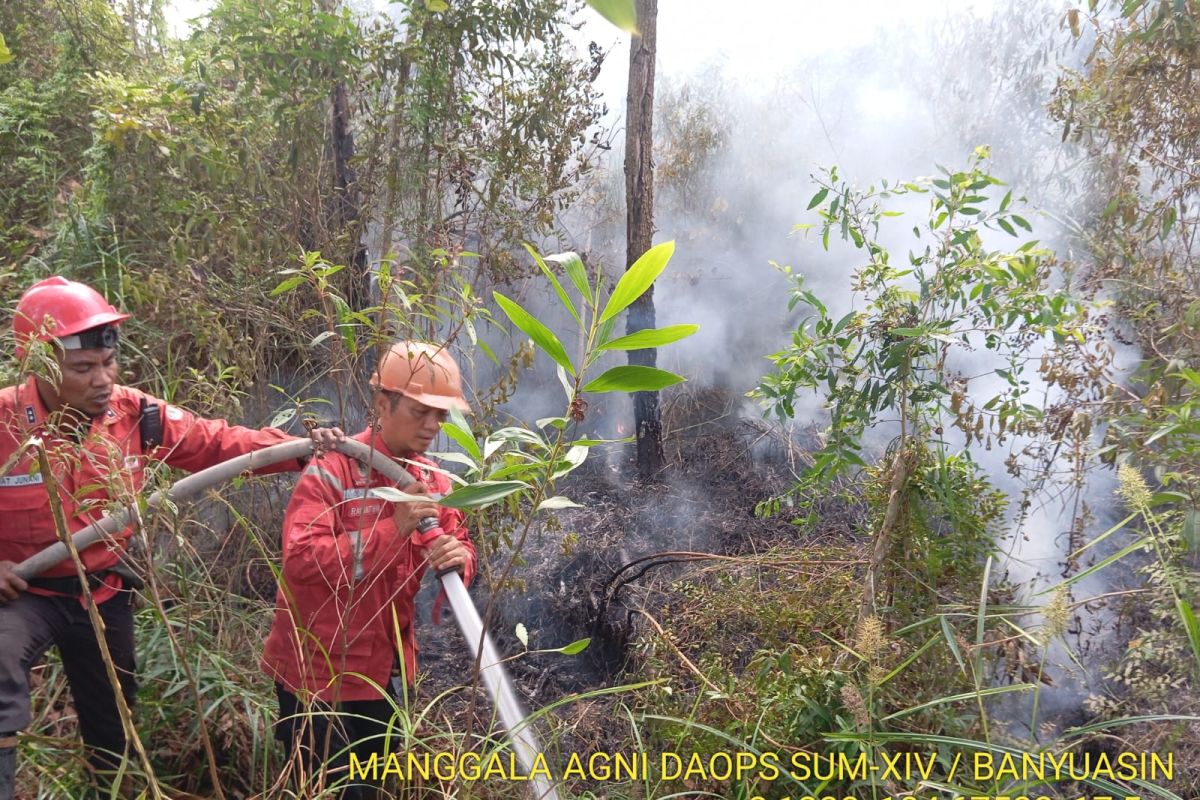 Forest and land fires in South Sumatra reach 305.4 hectares up to May 2026
