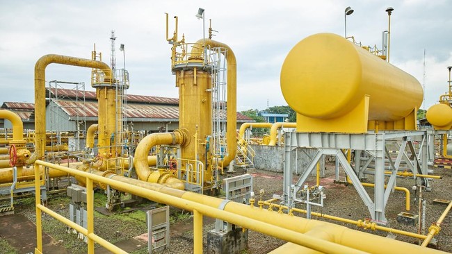 PGN to Secure Natural Gas Supply from Sengeti Field