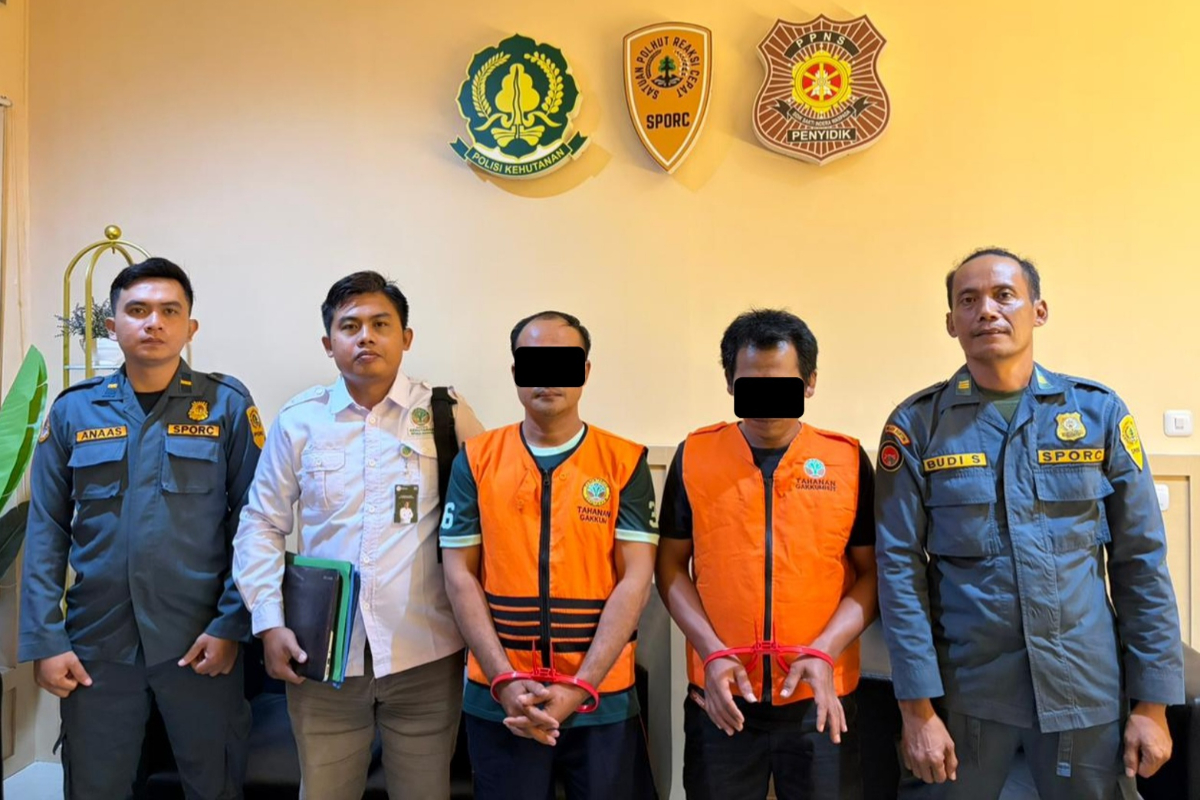 Forestry Ministry Exposes Illegal Land Clearing in UGM Educational Forest, Four Named as Suspects