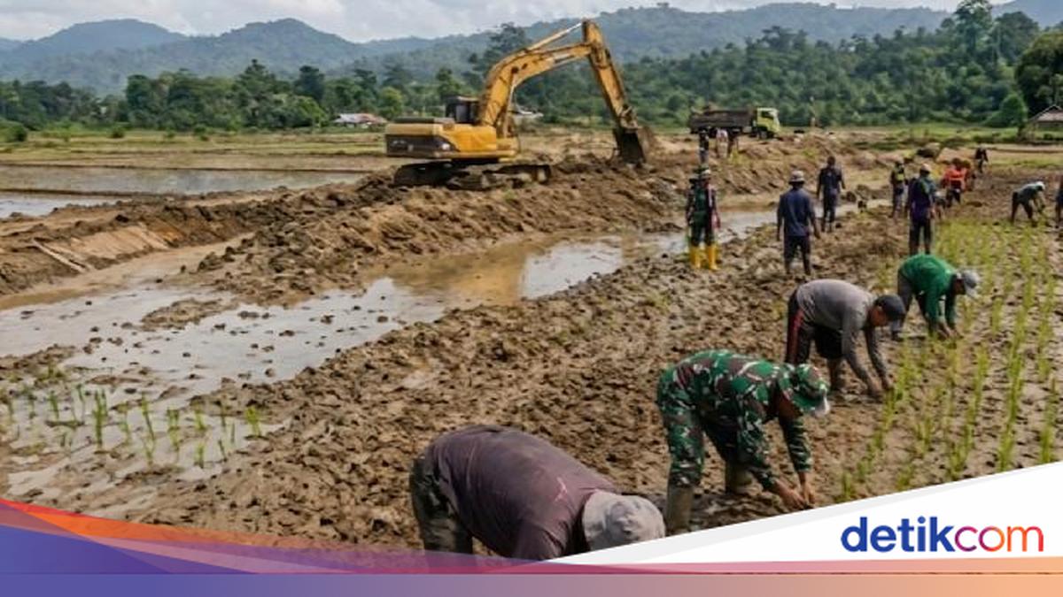 PRR Task Force Pushes for Accelerated Agricultural Recovery in Sumatra