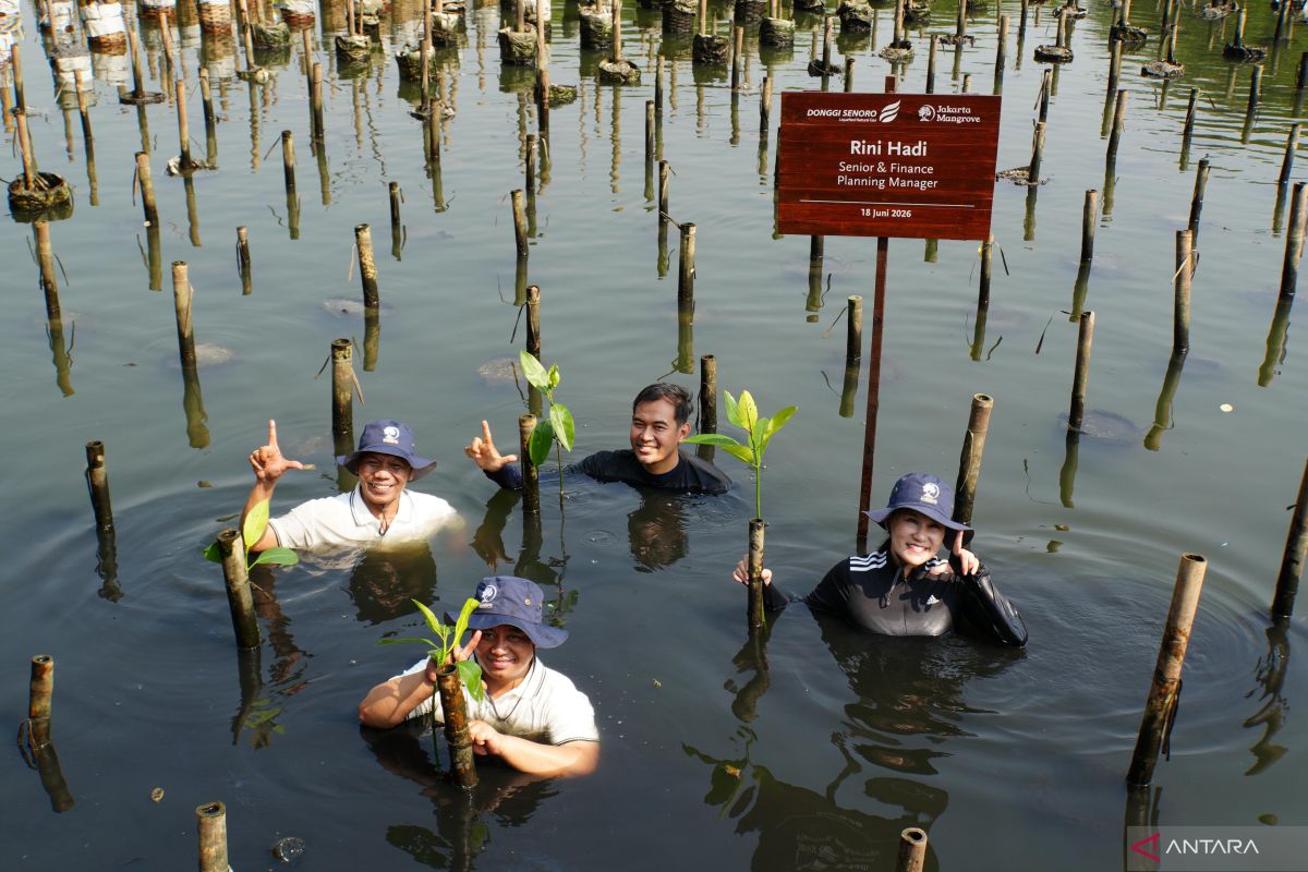 DSLNG Safeguards Coastal Ecosystem Through Mangrove Planting Initiative