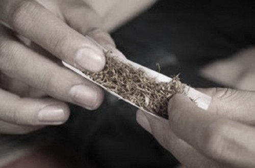 House Member Urges Affirmative Excise Policy for Small Cigarette Manufacturers