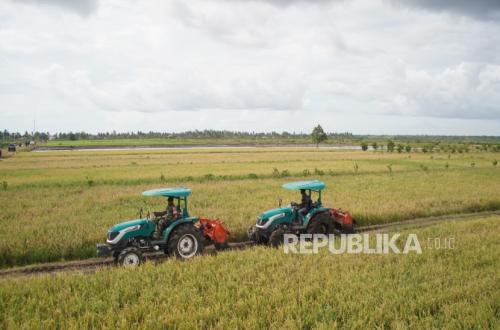 People's Rice Field Printing and Land Optimisation Boost Production and Stabilise Rice Prices in Merauke