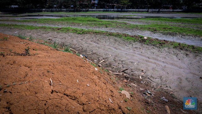 Godzilla El Niño Cancelled, BRIN Warns of New Disaster in West Java