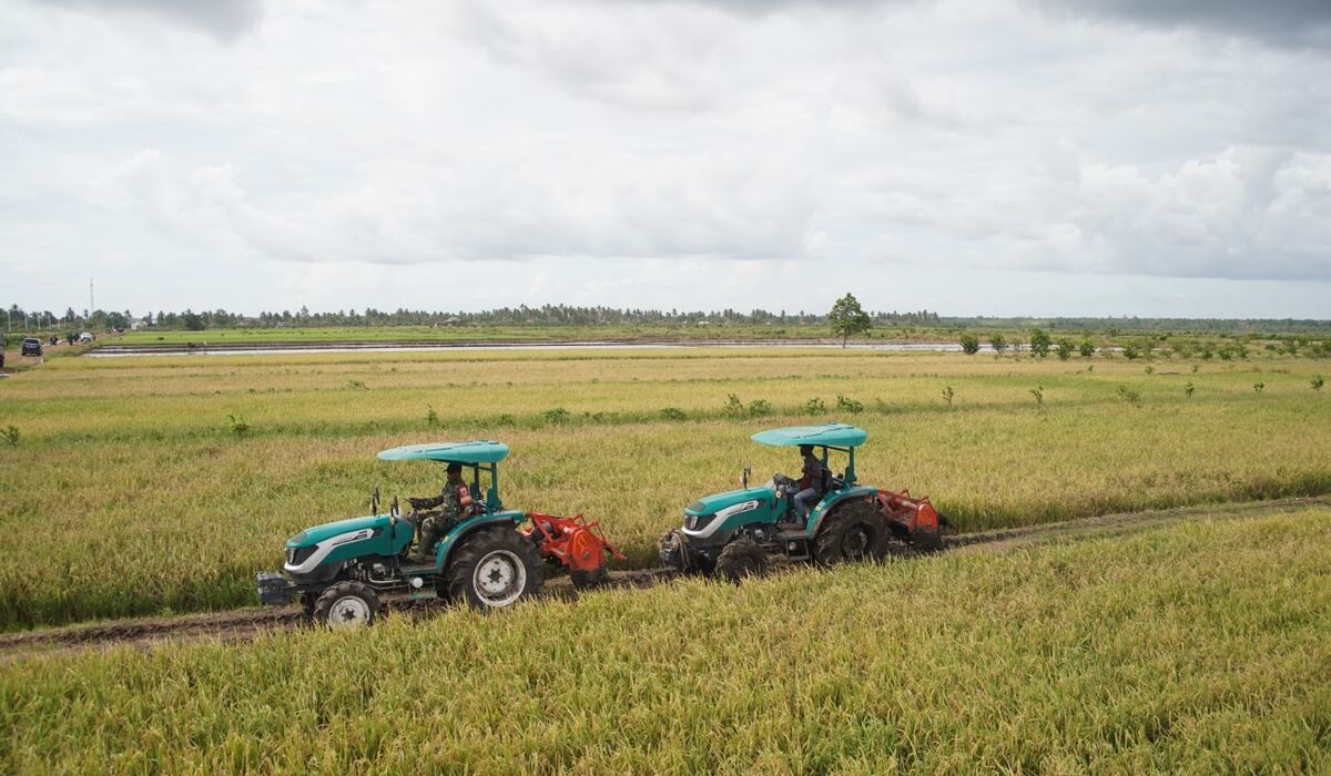 Government Rice Programmes in Merauke Boost Production and Slash Prices