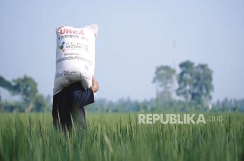 FAO Commends Indonesian Farmers' Resilience Amid Global Fertiliser Crisis