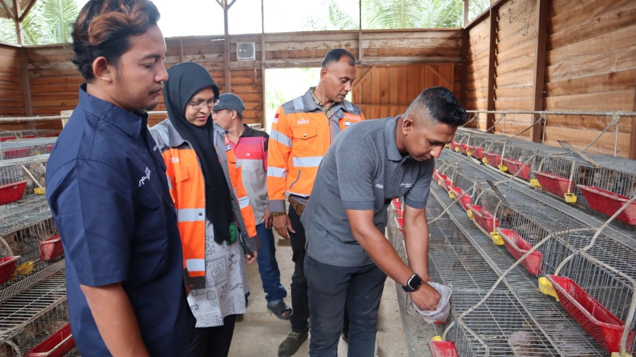 SIG Boosts Aceh's Local Economy by Processing Coconut Waste into Animal Feed