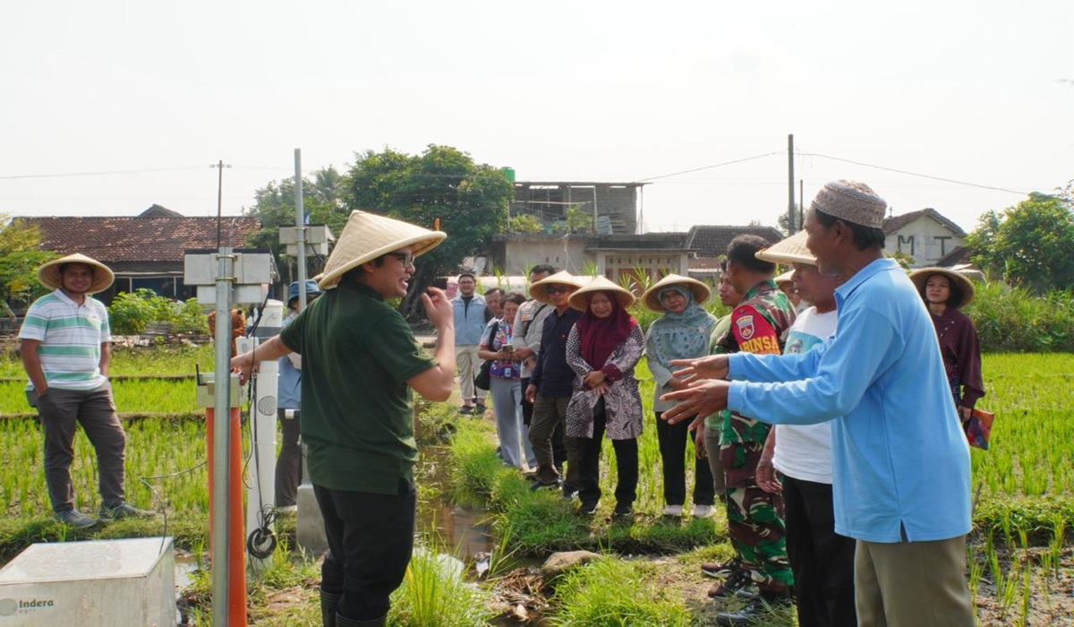 AI Enters the Rice Fields: The SAE AWD Rice Programme Modernises Sleman Agriculture