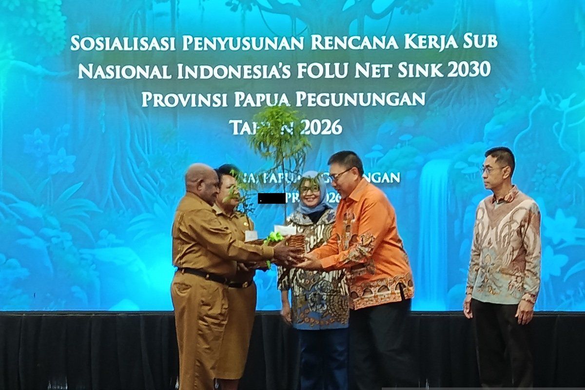 Ministry of Forestry Urges Papua Highlands Government to Plant Trees to Preserve Forests