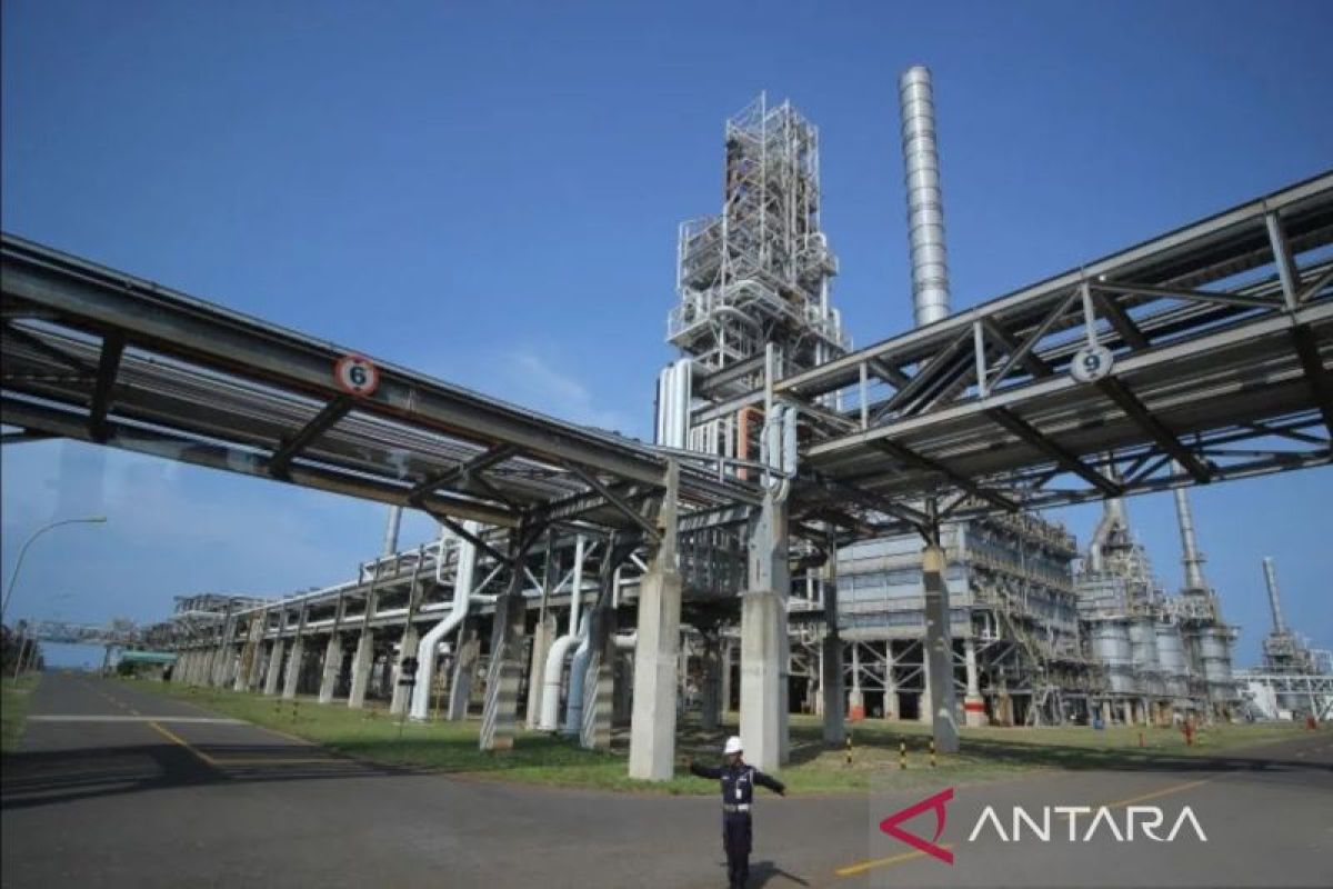 Indef: Strengthening domestic market key to boosting petrochemical industry