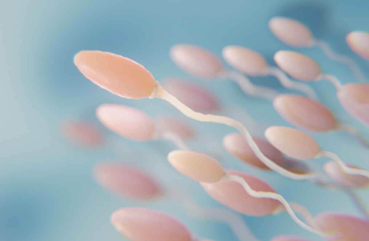 Semen Allergy Revealed as Hidden Cause of Female Infertility