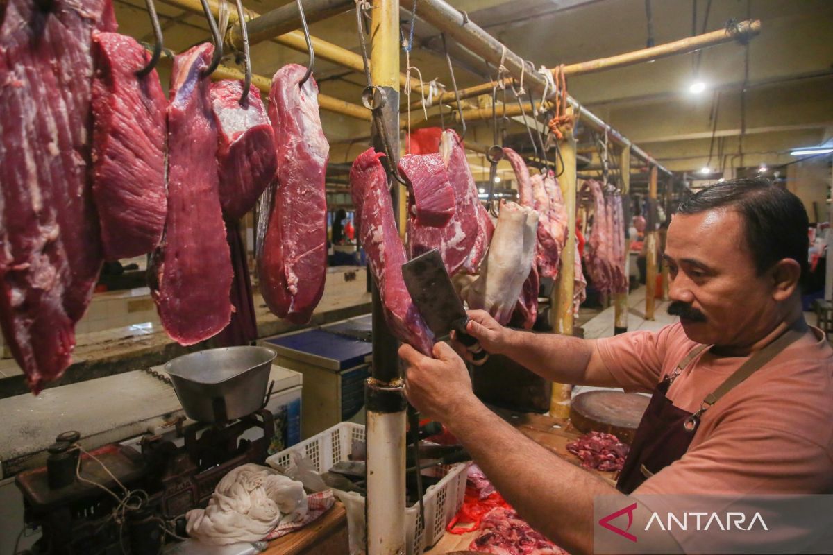 Analyst assesses SISKA programme could cut beef imports by a third