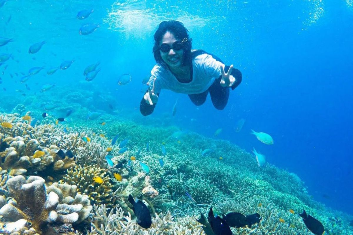 East Kalimantan DKP Boosts Blue Economy Potential in Derawan Waters