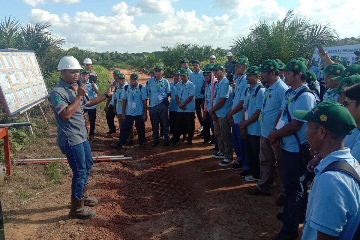 Field Training Programme Aims to Boost Oil Palm Farmers' Productivity and Fruit Quality